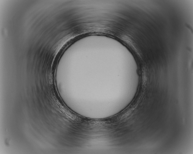 X0000100850924200807111212