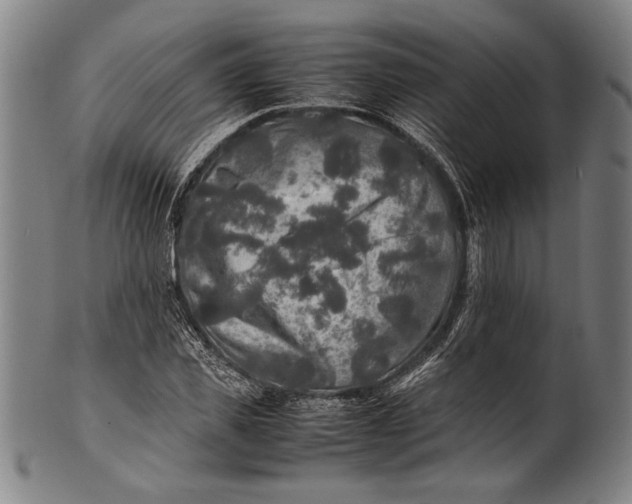 X0000100850925200807111212