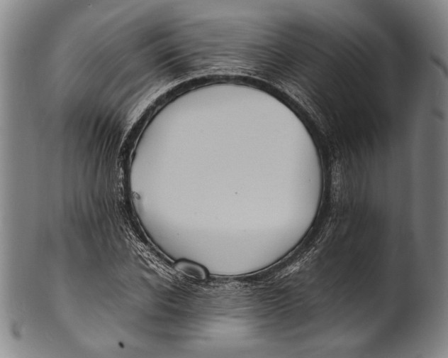 X0000100850926200807111212