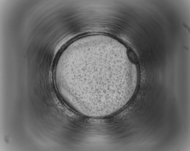 X0000100850928200807111212