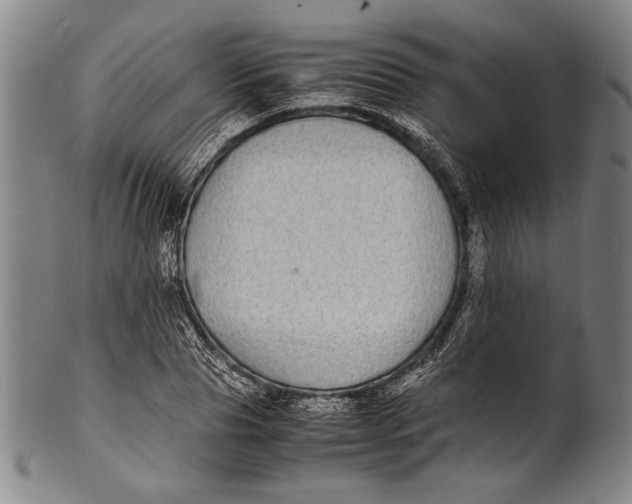 X0000100850929200807111212