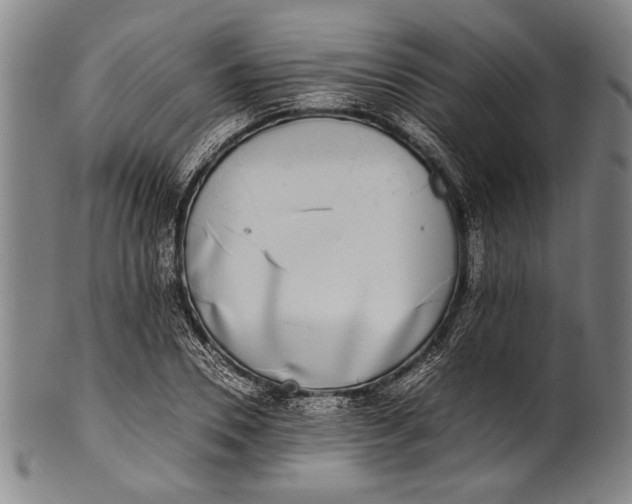 X0000100850930200807111212