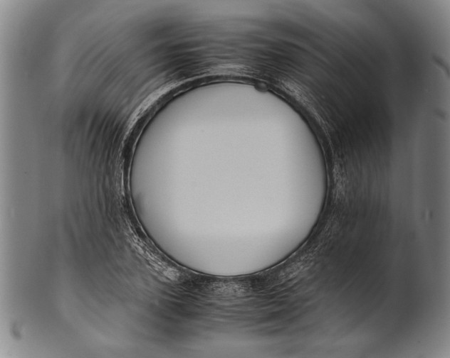 X0000100850931200807111212