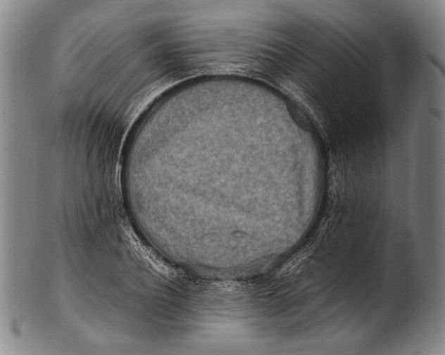 X0000100850932200807111212