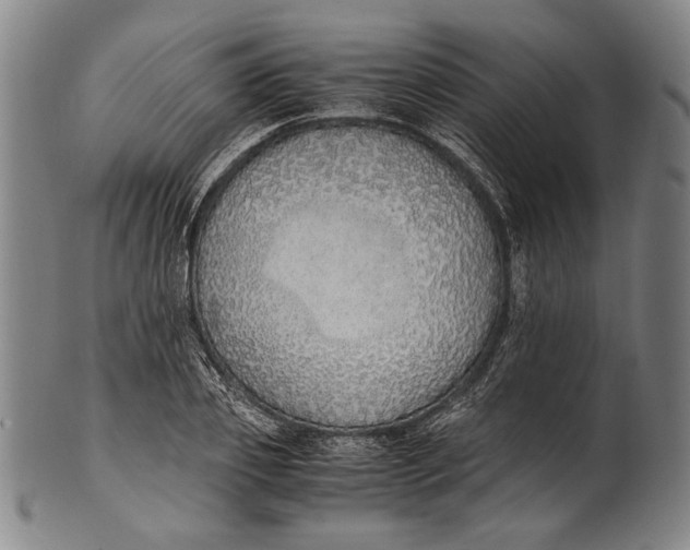 X0000100850933200807111212