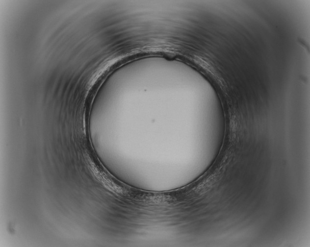 X0000100850934200807111212