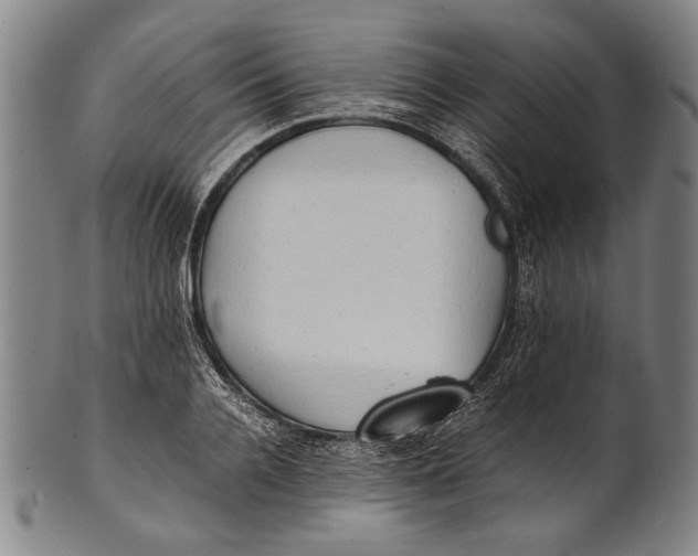 X0000100850936200807111212