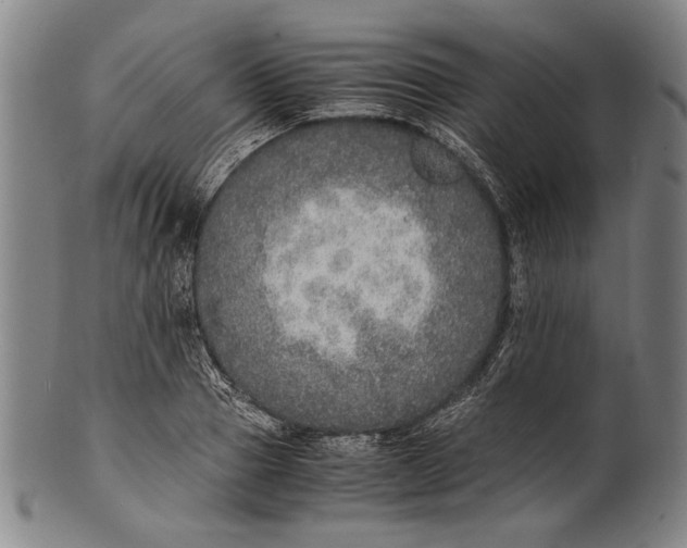 X0000100850937200807111212