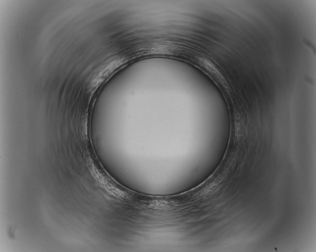 X0000100850938200807111212