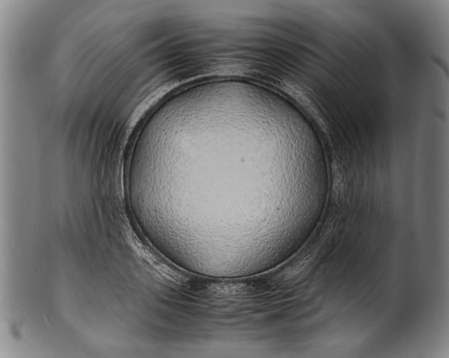 X0000100850939200807111212