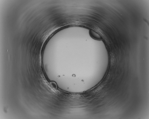 X0000100850940200807111212