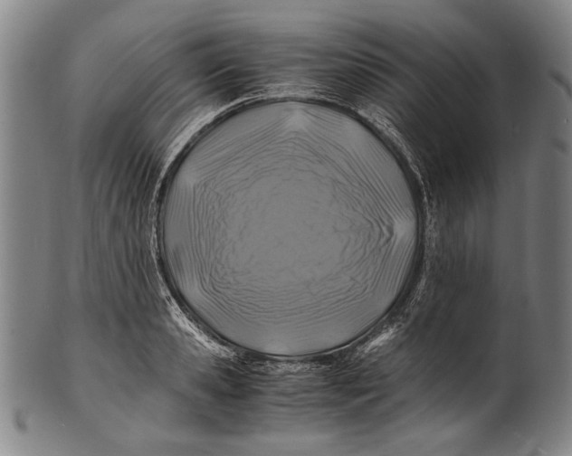 X0000100850941200807111212