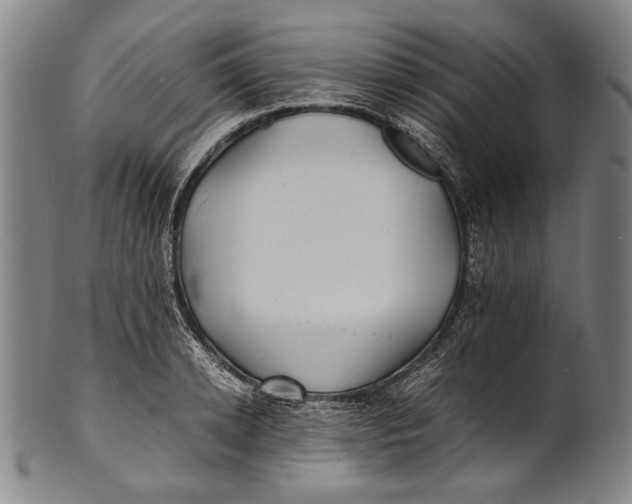 X0000100850942200807111212