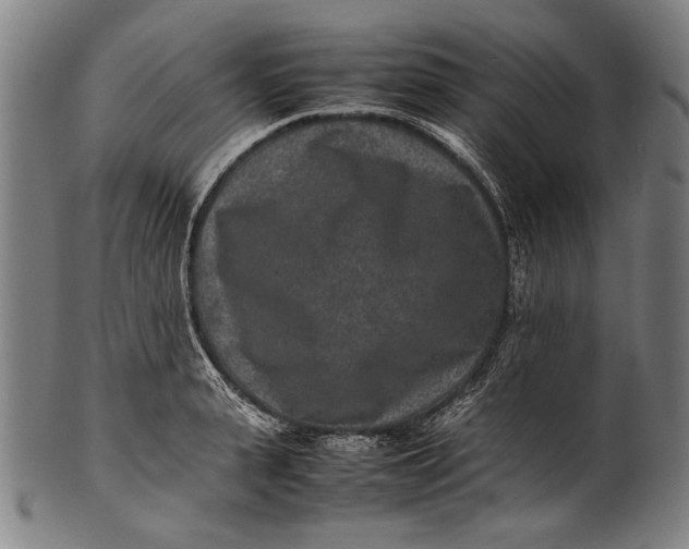 X0000100850943200807111212