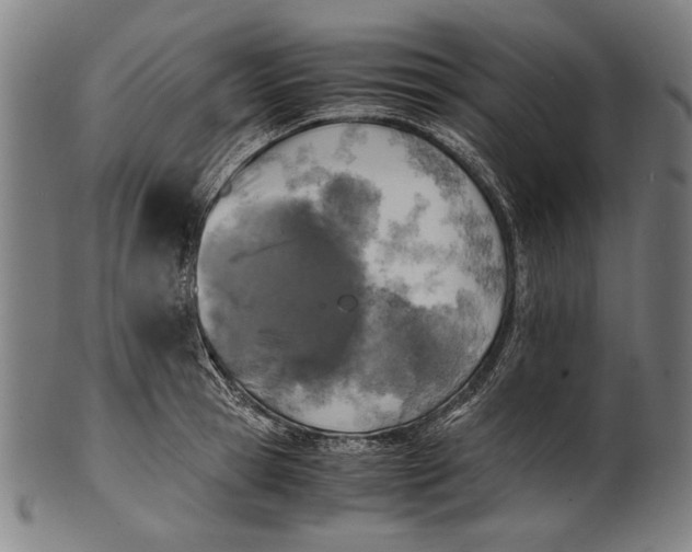 X0000100850945200807111213