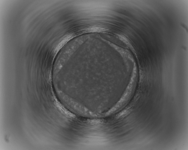 X0000100850946200807111213