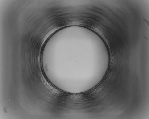 X0000100850947200807111213