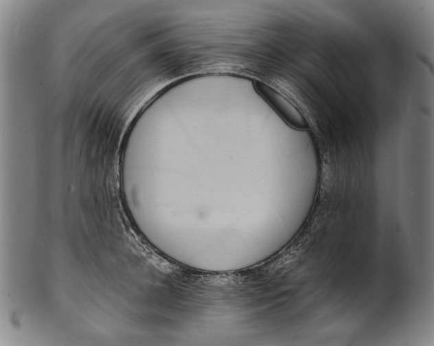 X0000100850948200807111213