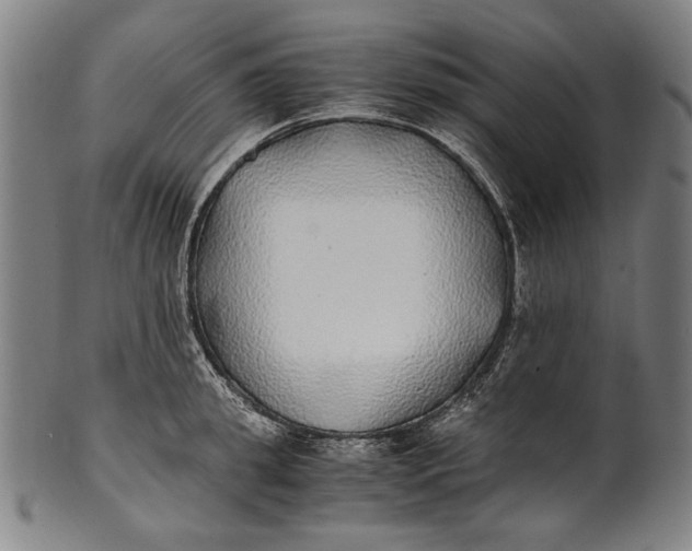 X0000100850949200807111213