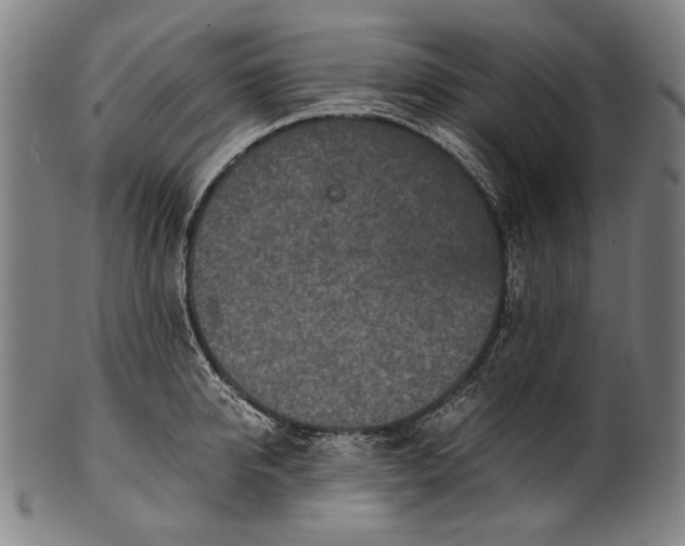 X0000100850950200807111213