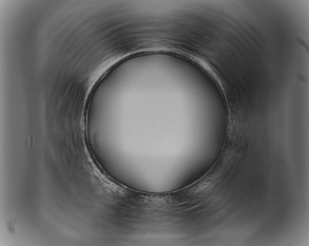 X0000100850951200807111213