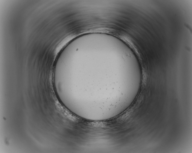 X0000100850952200807111213