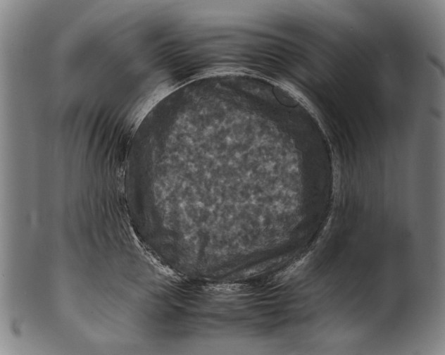 X0000100850953200807111213