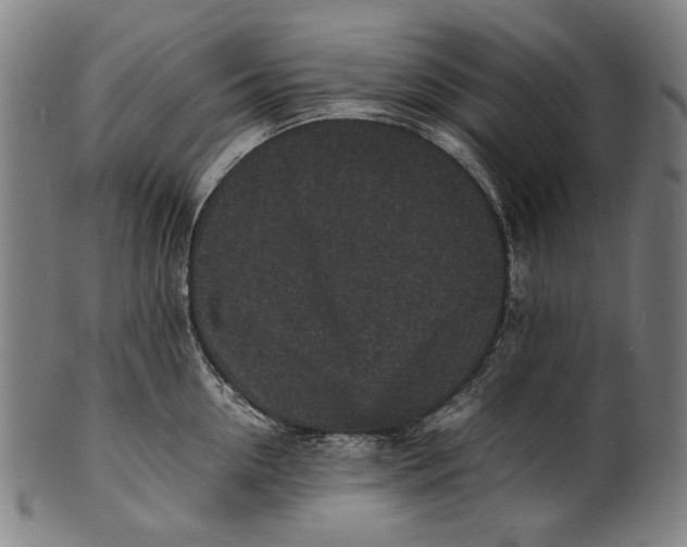 X0000100850954200807111213