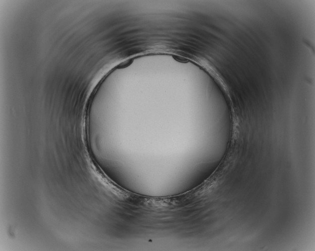 X0000100850955200807111213