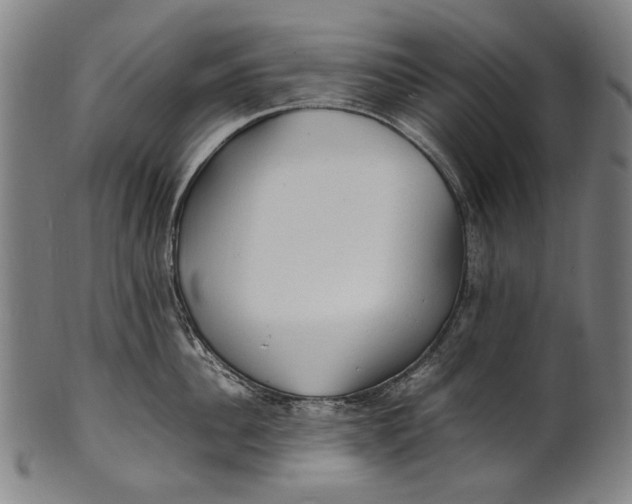 X0000100850956200807111213