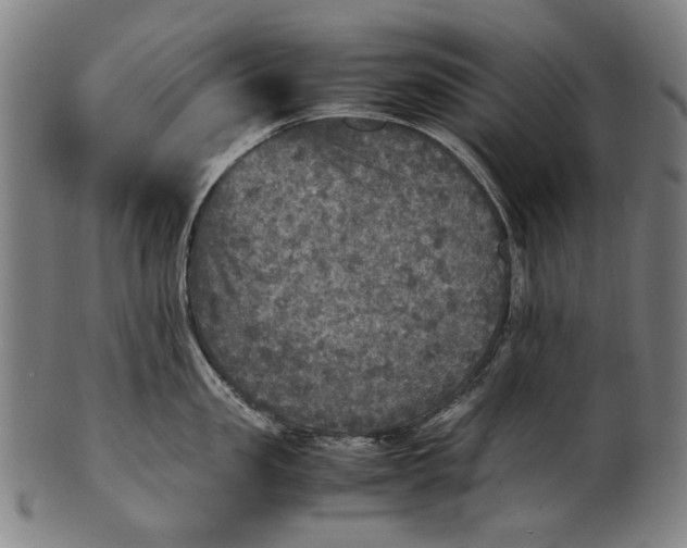 X0000100850957200807111213