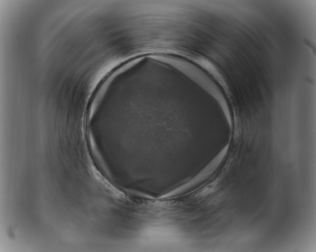 X0000100850958200807111213