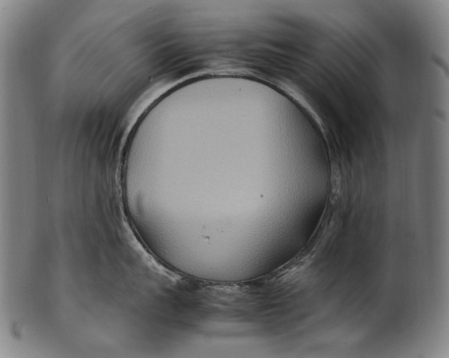 X0000100850959200807111213