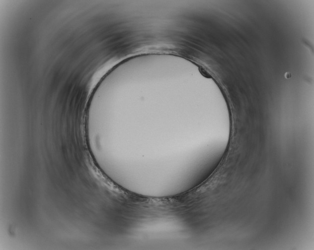 X0000100850960200807111213