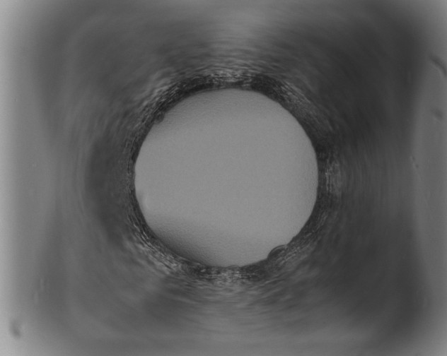 X0000100850961200807111212