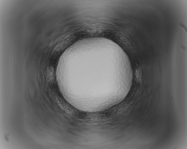 X0000100850963200807111212