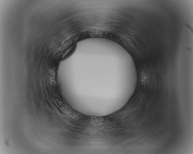 X0000100850964200807111212