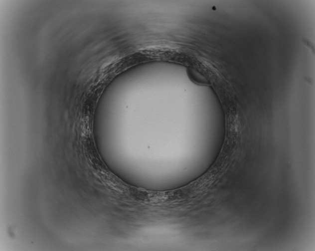 X0000100850965200807111212