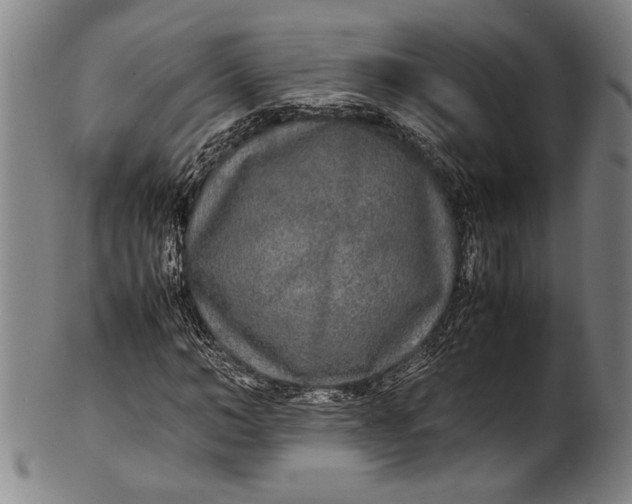 X0000100850966200807111212