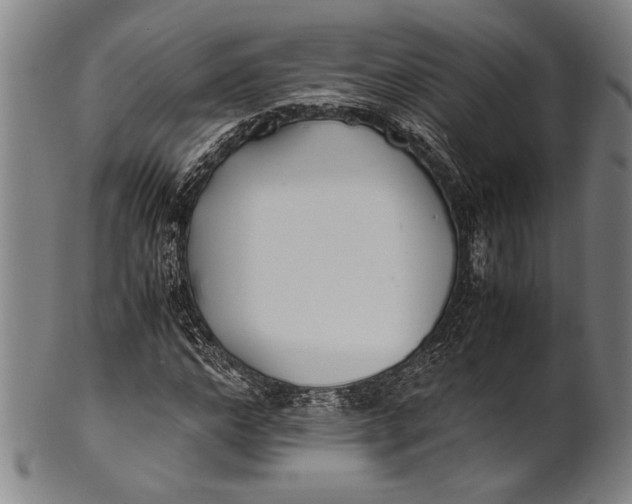 X0000100850968200807111212