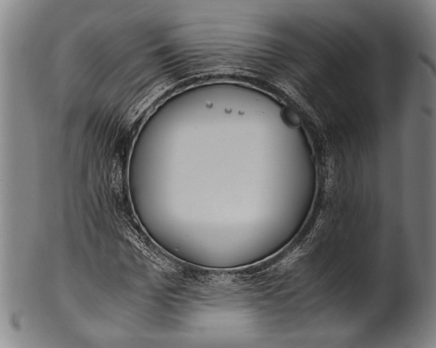 X0000100850969200807111212