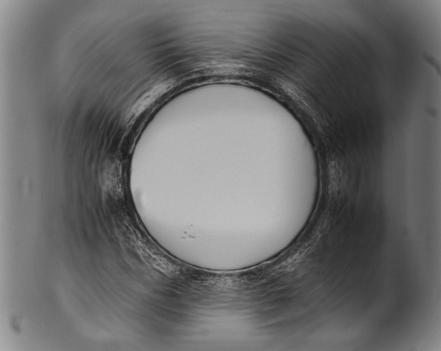 X0000100850970200807111212