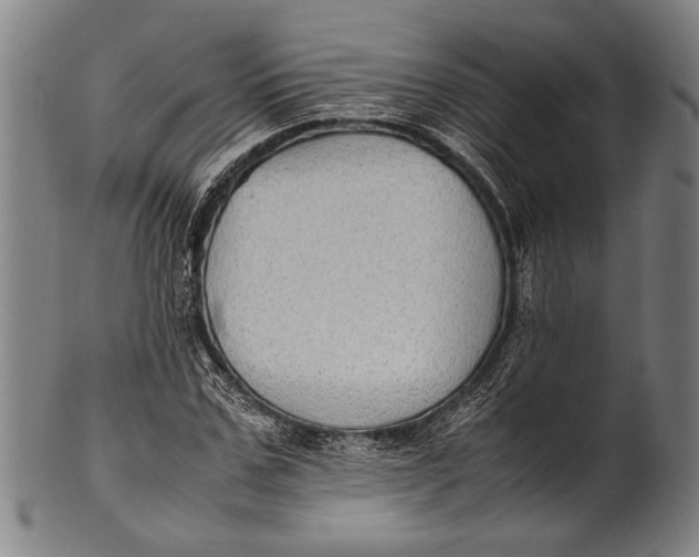 X0000100850971200807111212