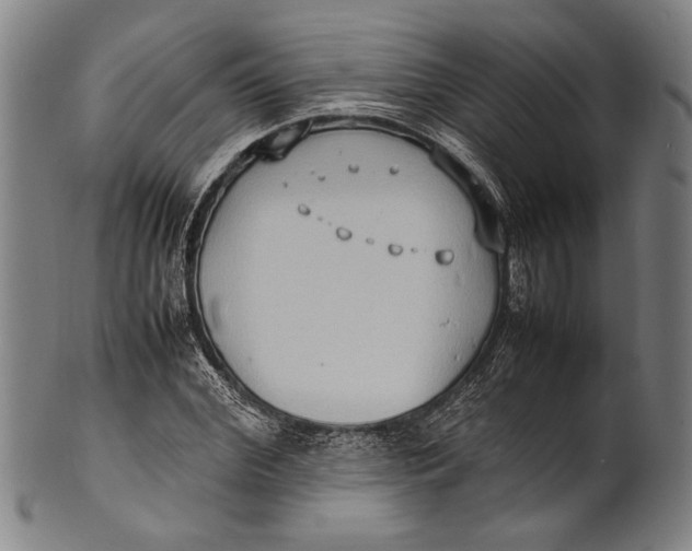 X0000100850972200807111212