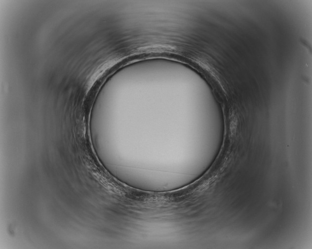 X0000100850973200807111212