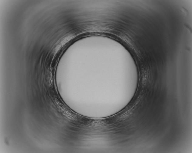 X0000100850974200807111212