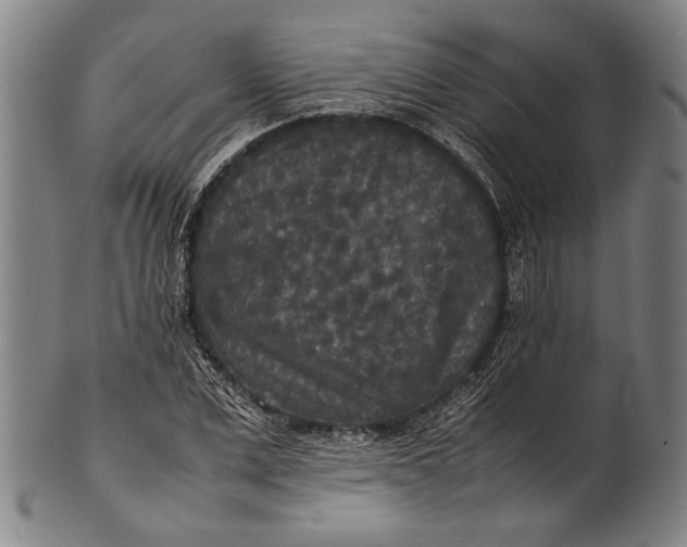 X0000100850975200807111212