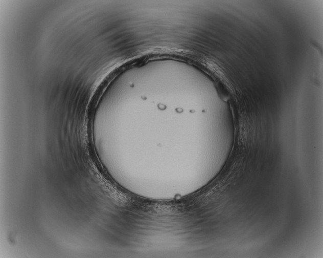 X0000100850976200807111212