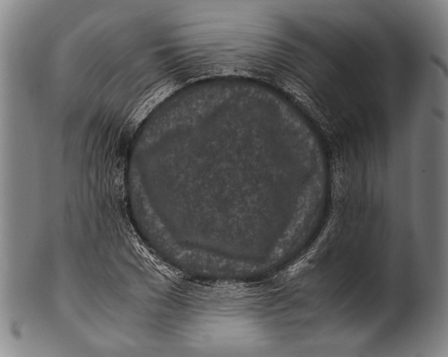 X0000100850977200807111212