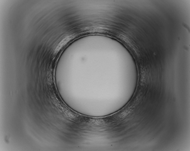 X0000100850978200807111212